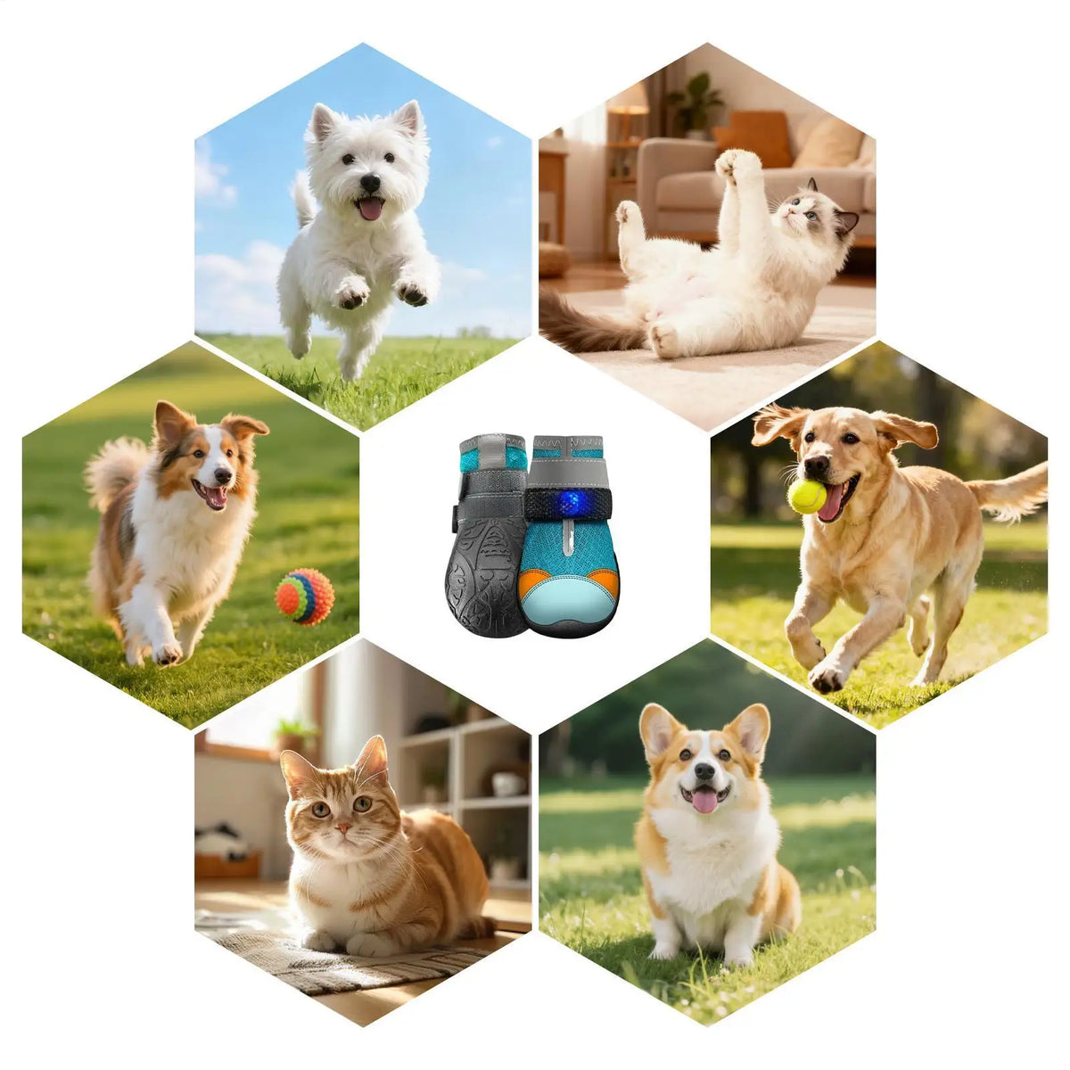Zapatos luminosos para perros – Protectores de patas LED