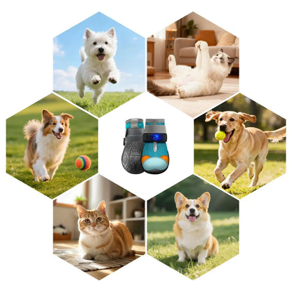 Zapatos luminosos para perros – Protectores de patas LED